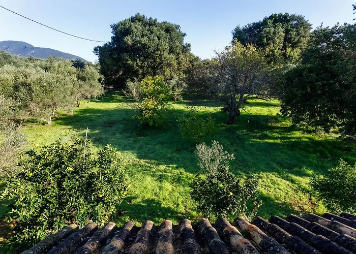 Fridas Place * Chalikounas