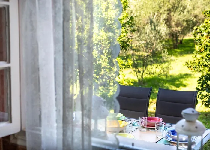 Fridas Place Chalikounas