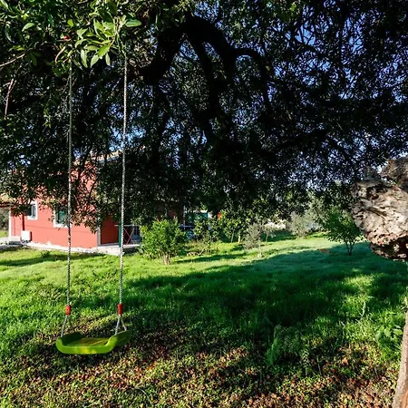 Fridas Place * Chalikounas