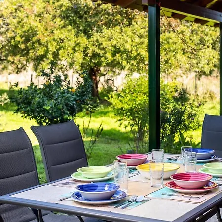 Fridas Place Halikounas