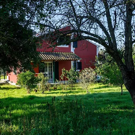 Fridas Place Vilă *