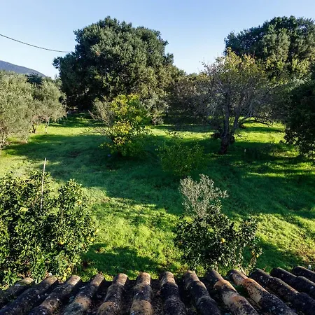 Fridas Place * Chalikounas